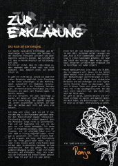 Sexismus im Punk - Fanzine